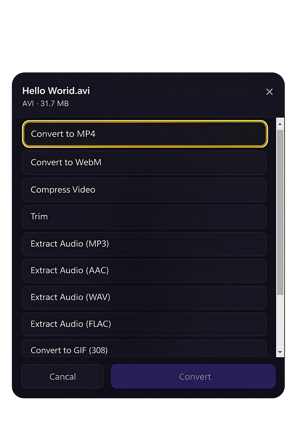 DropFile video conversion options dialog