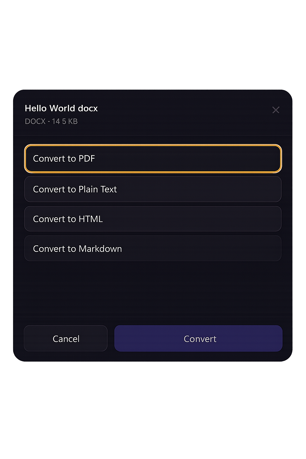 DropFile document conversion options dialog
