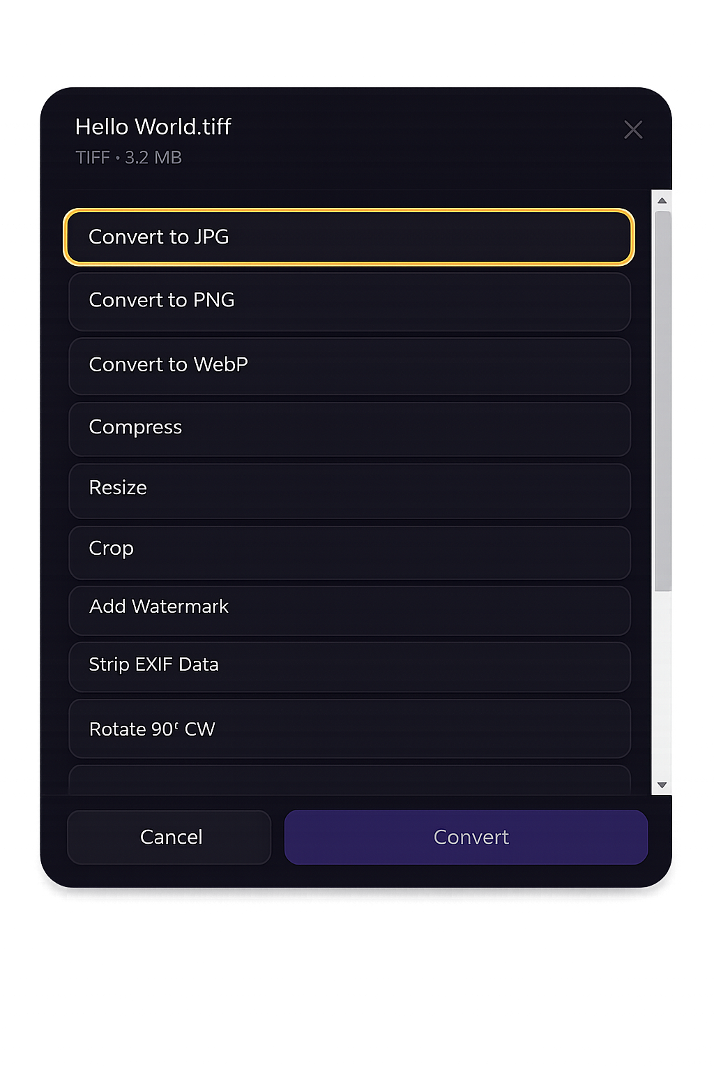 DropFile image conversion options dialog
